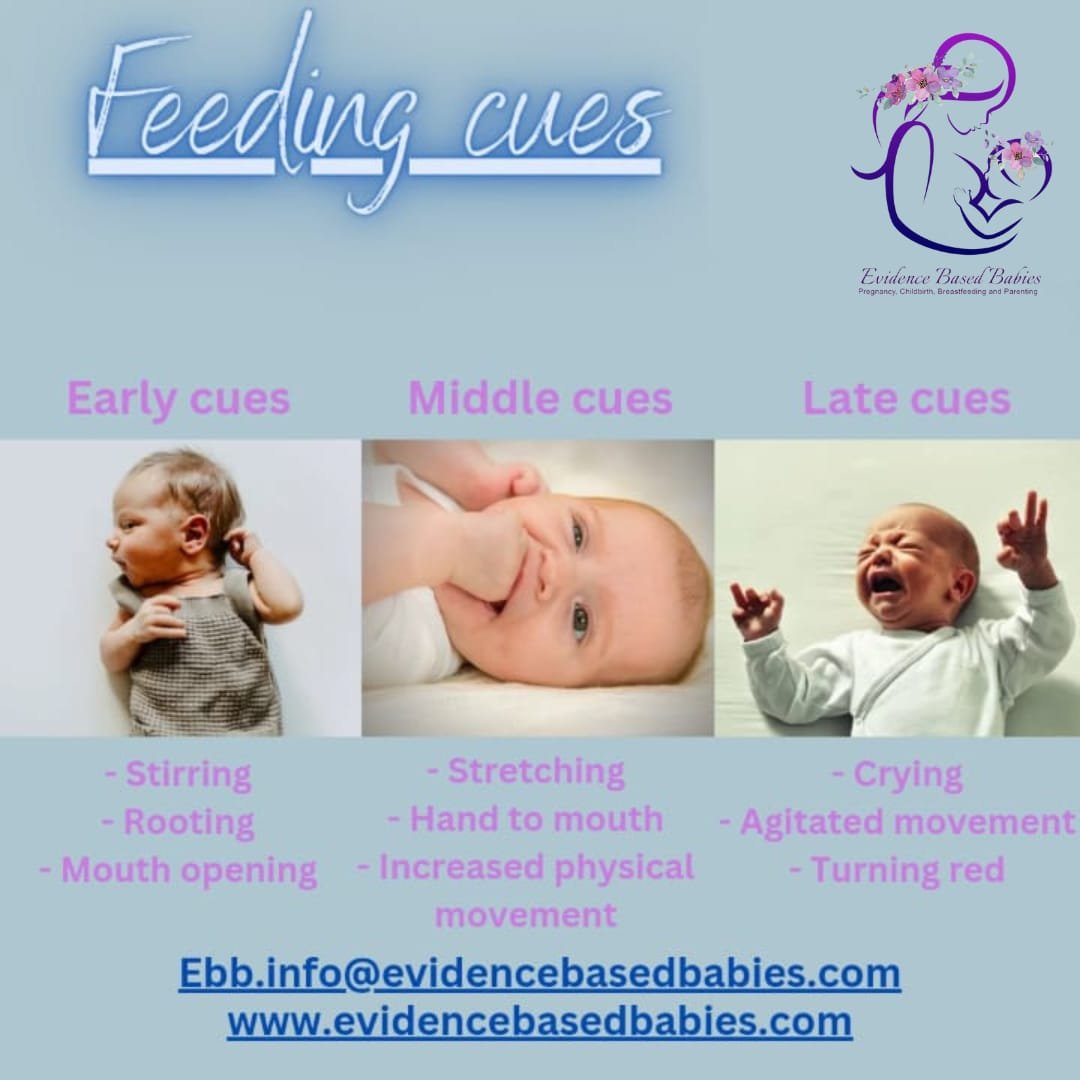 How often should a baby breastfeed Evidence Based Babie