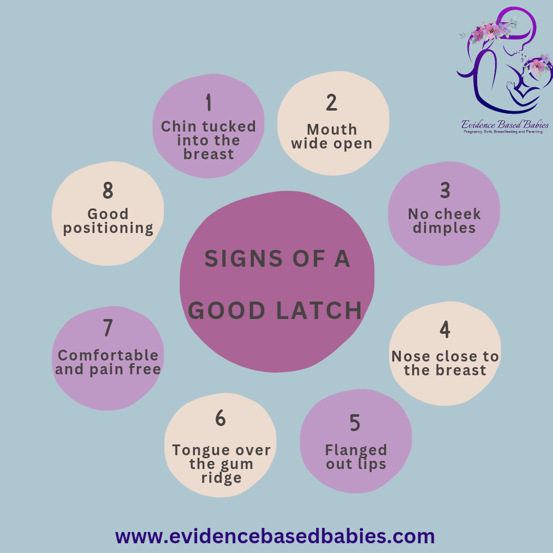 The ultimate guide on how to fix a shallow latch Evidence Based Babie
